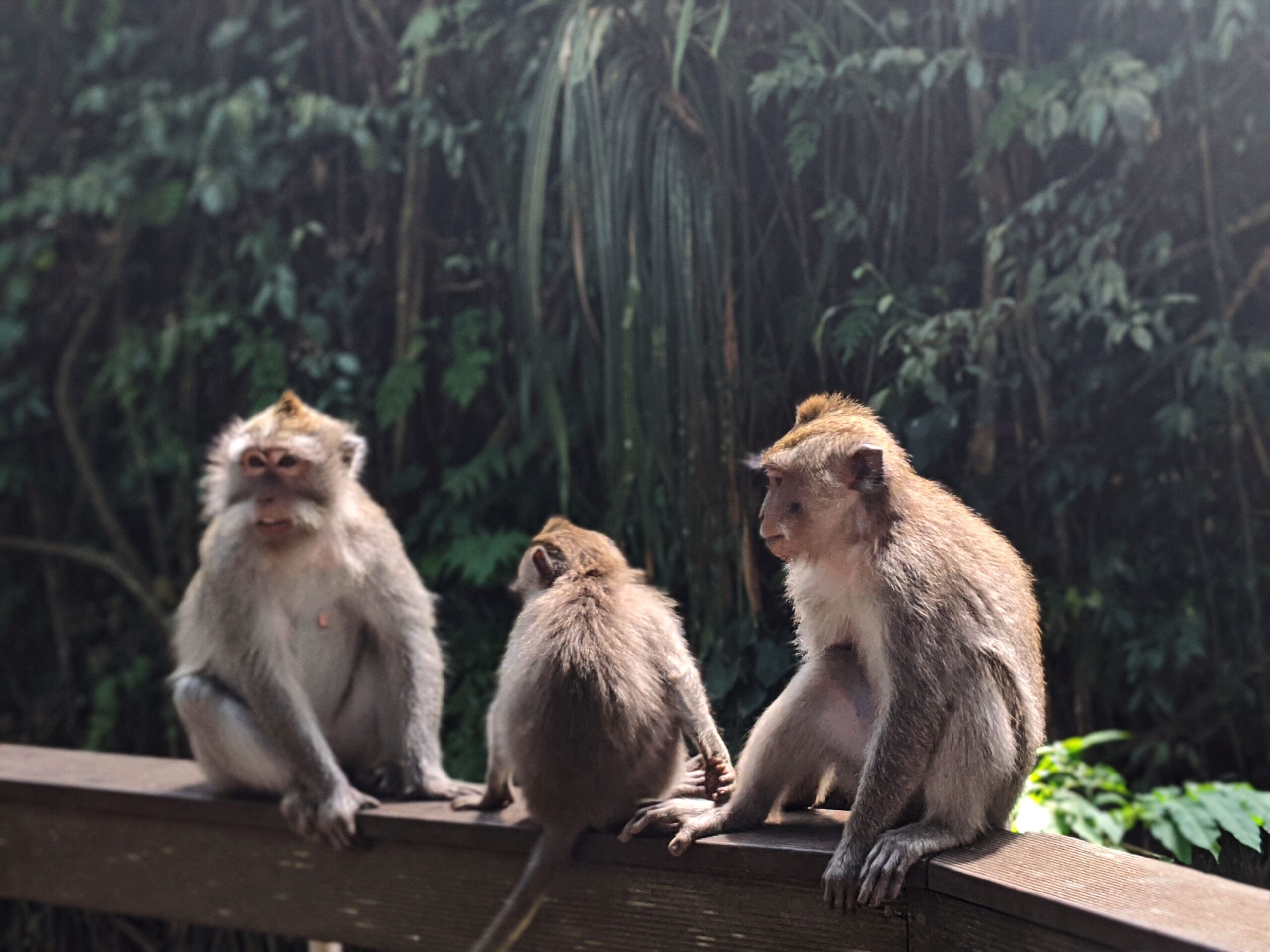 I Quit my Career to Move to Bali