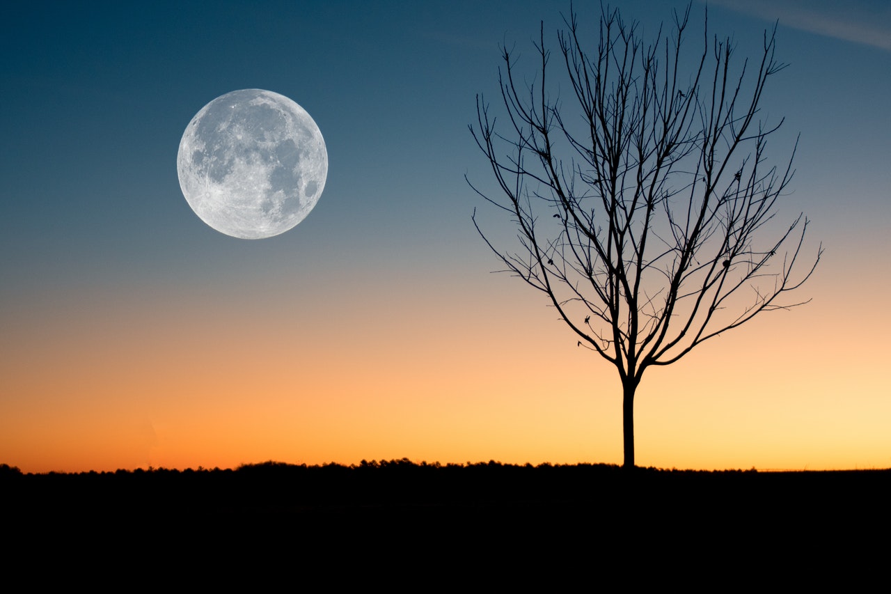 Full Moon Bath Ritual for Letting Go- The Butterfly Coach